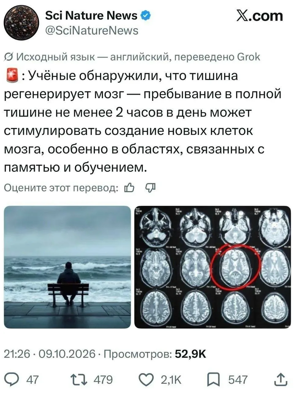 Тишина регенерирует мозг — пребывание в полной тишине не менее 2 часов в день стимулиру...
