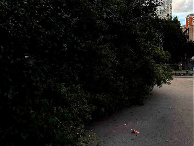 🌳 В Некрасовке жители жалуются на ветки которые мешают проходу