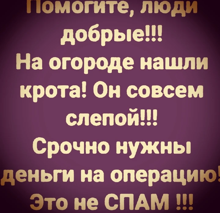 ПомоЖите люди добрые... 😂🤣😂
