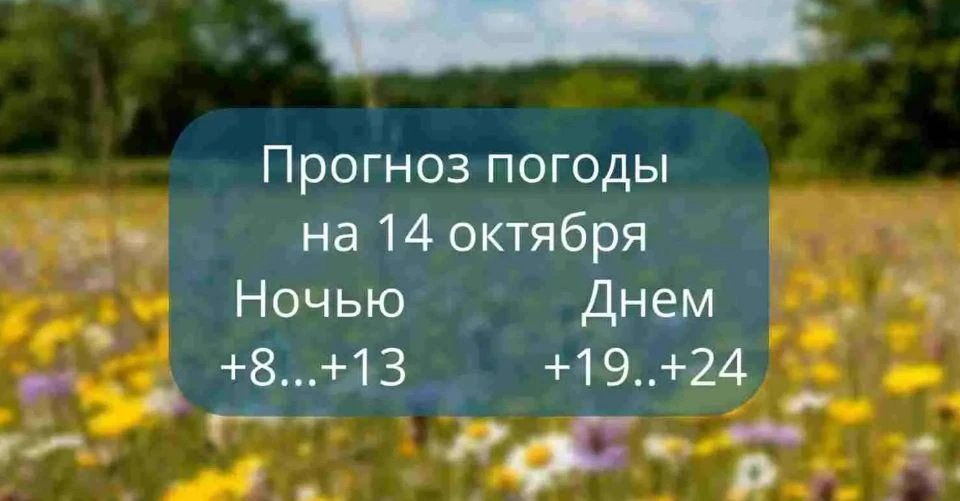 Прогноз погоды на 14 октября