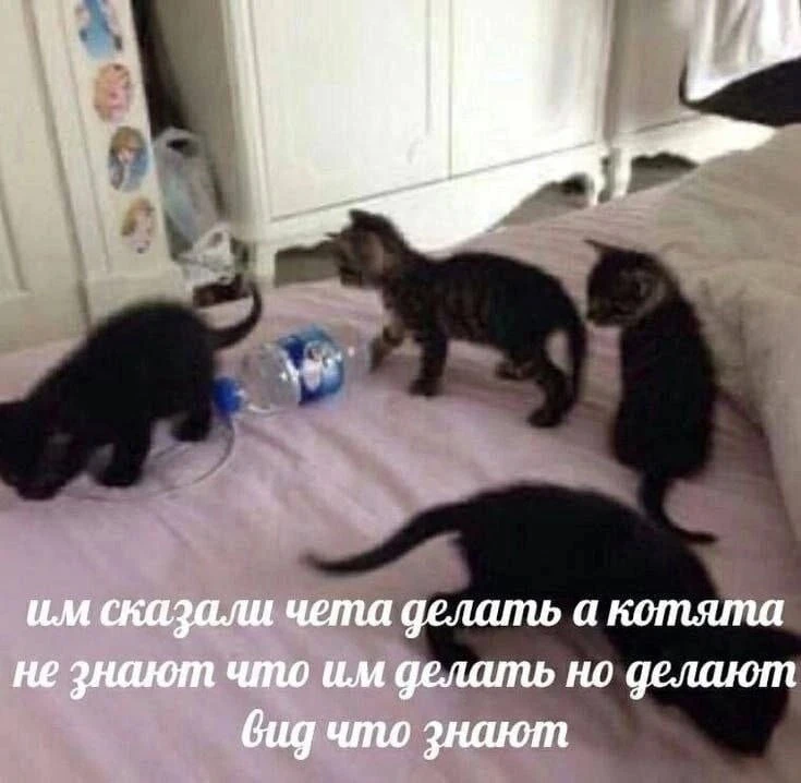 Стажеры: