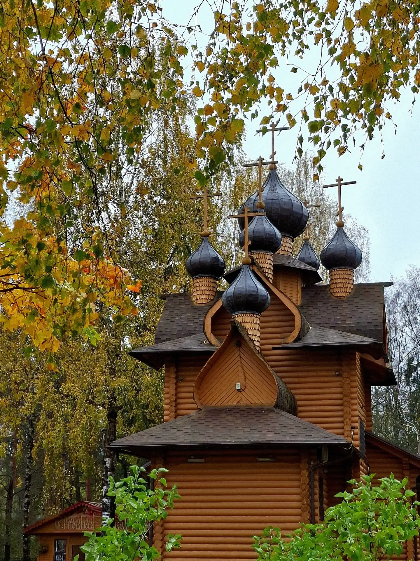 12.10.2026г. - Сертолово 🍁😘🍃