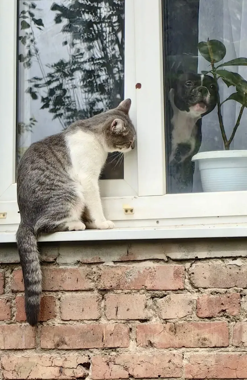 У каждого своё понимание свободы 😄