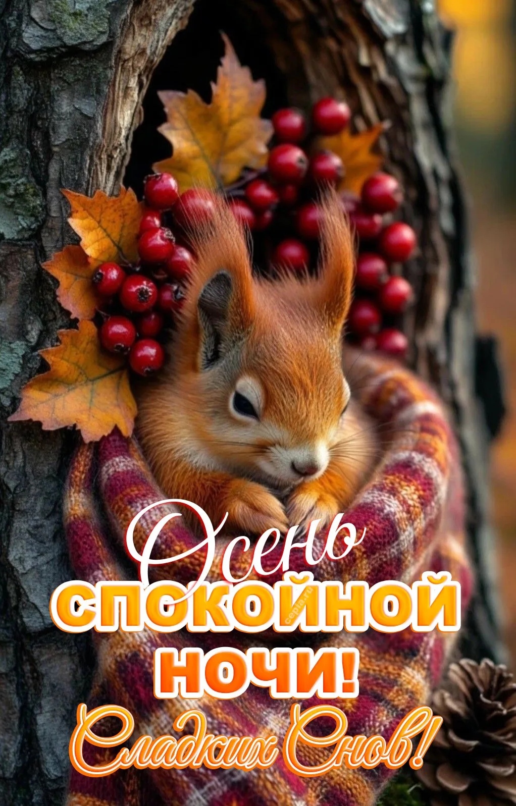 🎁Поздравления и открытки