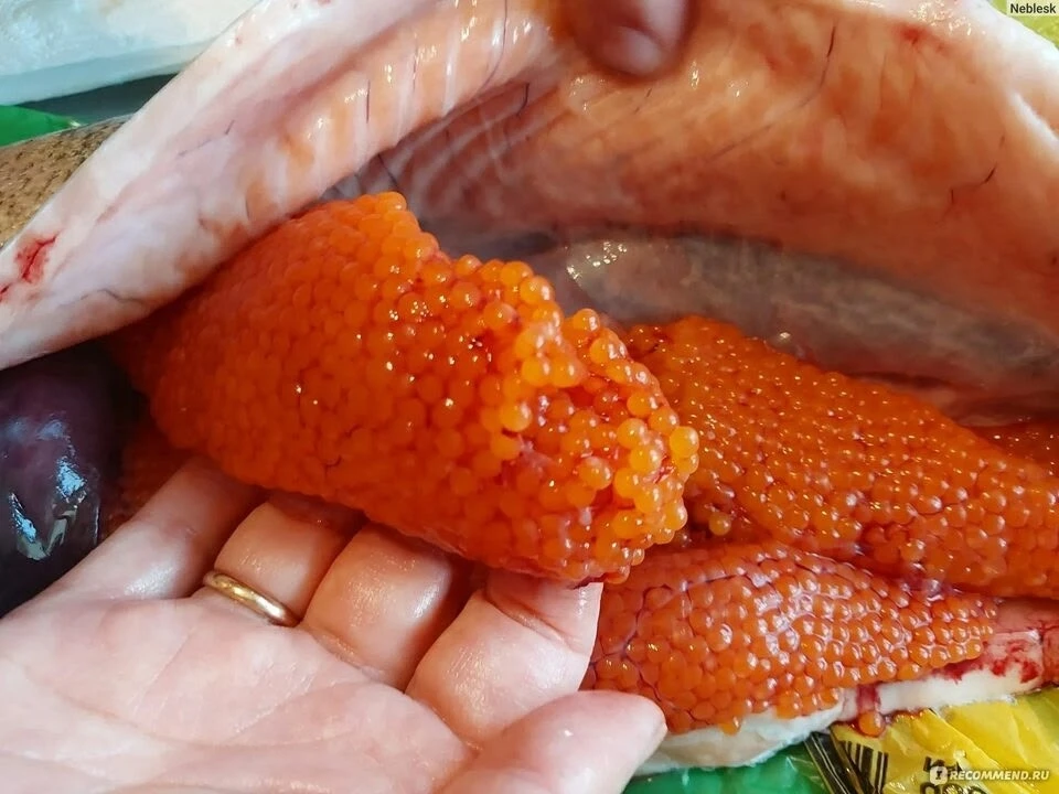 Привезли потрясно вкусную свежайшую