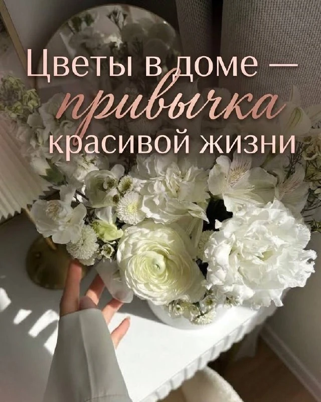 Цветы в доме — привычка красивой жизни 🏡🌸🌿