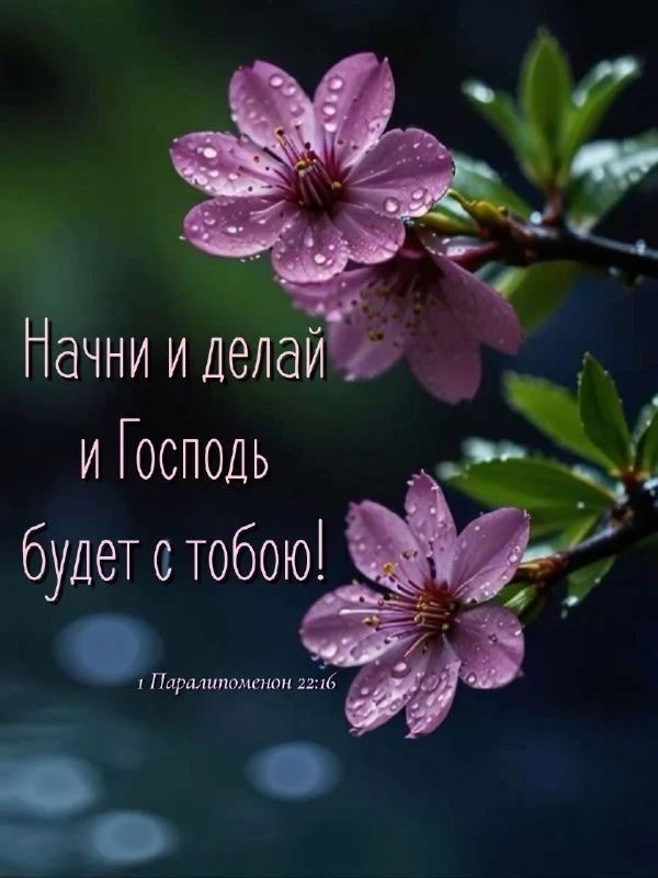 Божьего благословения вам в делах! 🙏