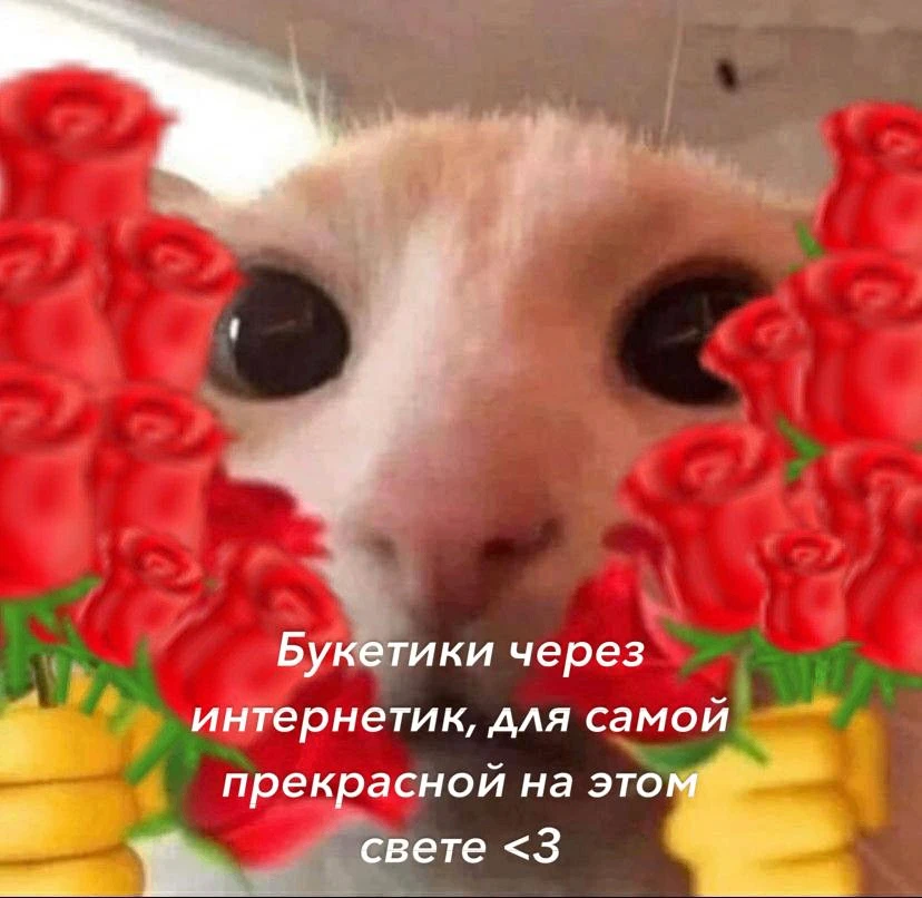*ты знаешь, кому отправить, чтобы подарить эти два букетика через интернетик