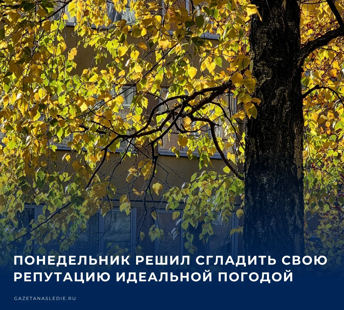 🌤️ Понедельник на максималках​