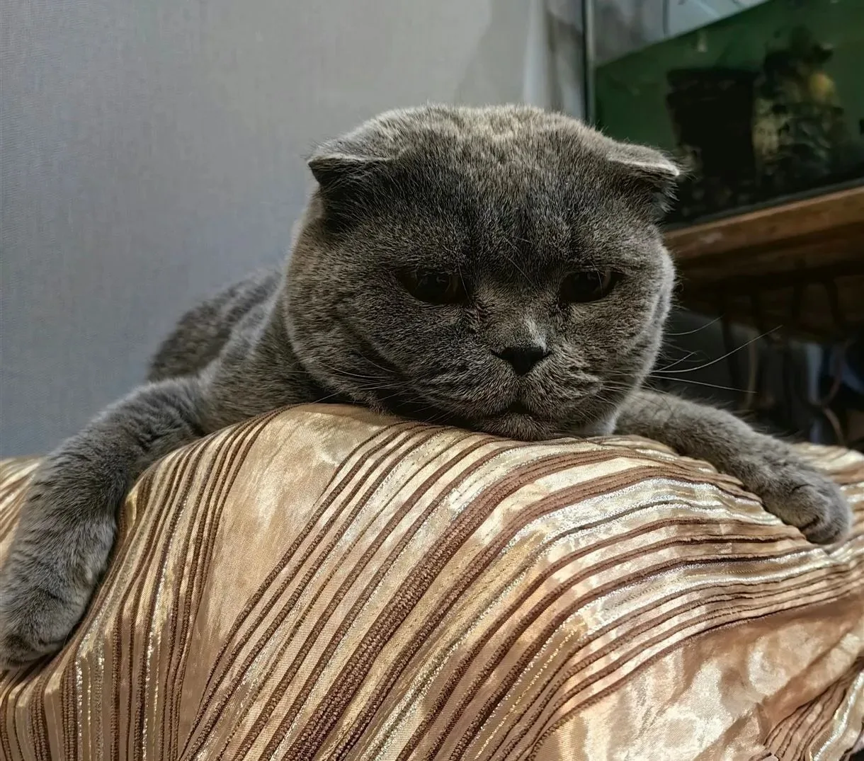 ☀️ Доброе утро и с пятницей!
