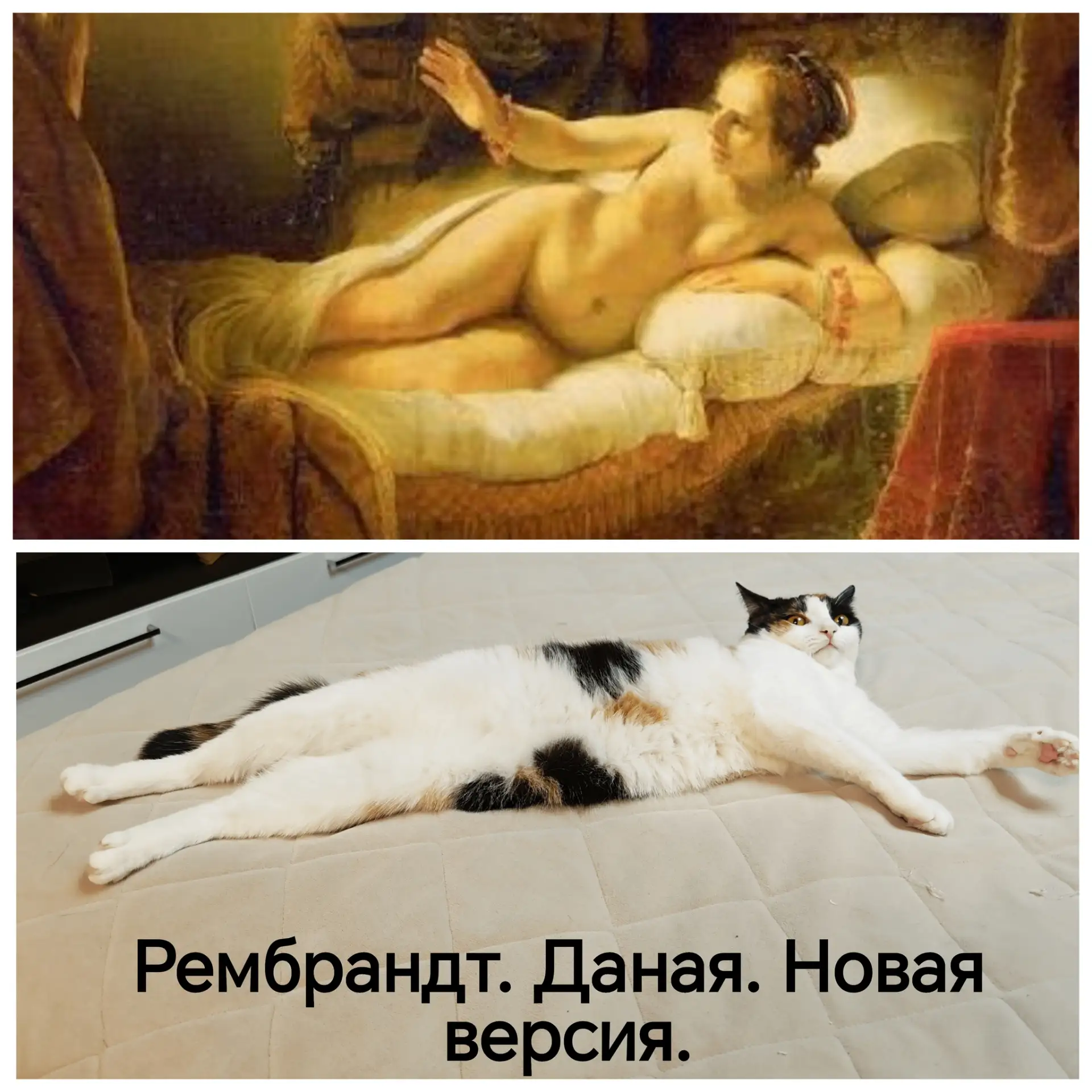Современное кошачье искусство