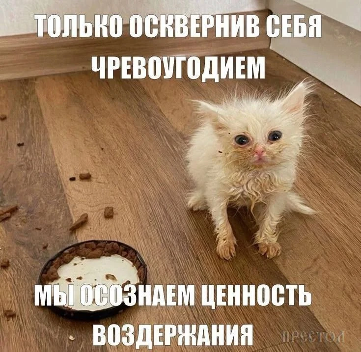 Telegram / Записки зубного детектива: