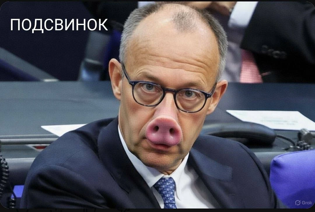 Мерц: не до любви народа — нужно вернуть страну на правильный путь