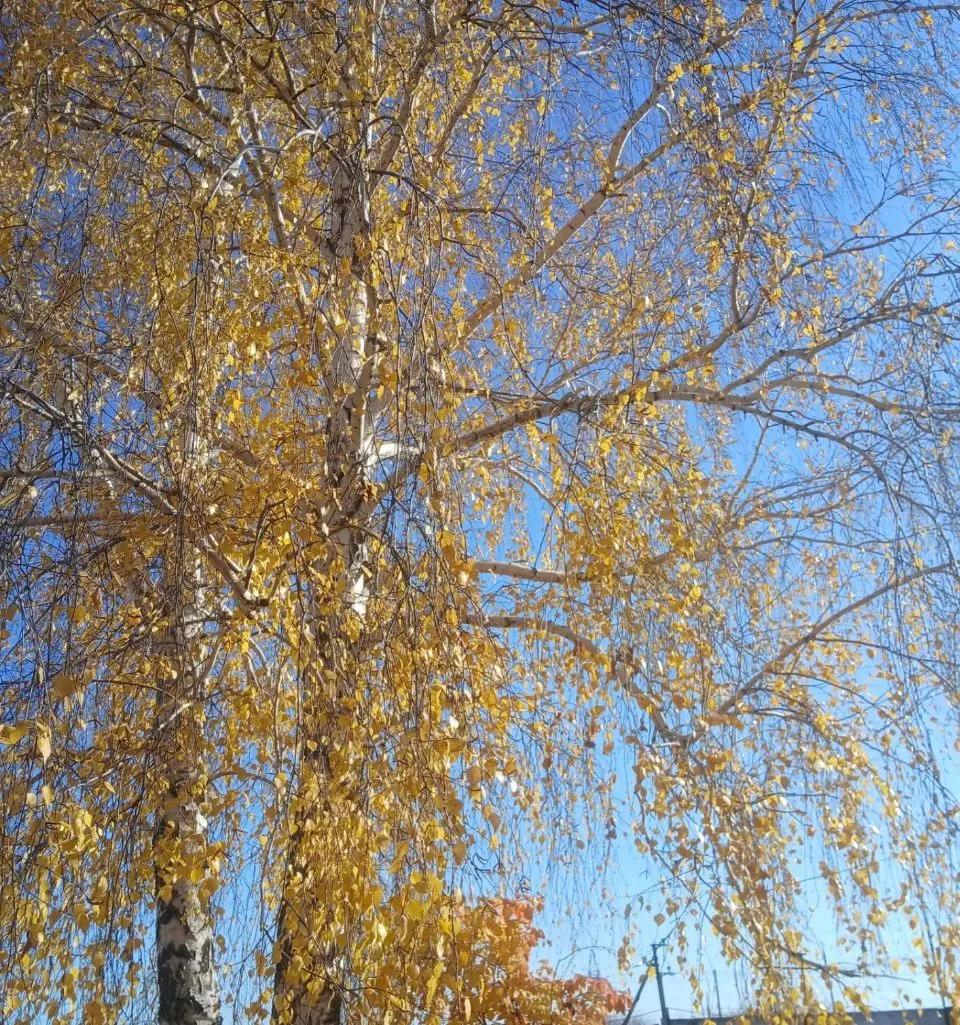 Погодка какая😍 сегодня 💕🍁🔥🔥🔥