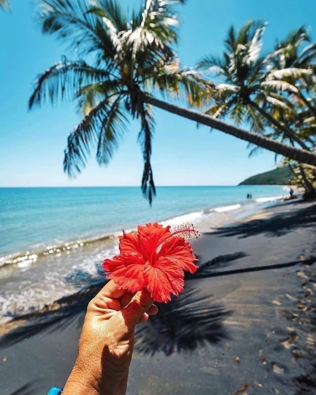 А вы знали, что в Маунабо есть пляж с черным песком? 🌺🇵🇷