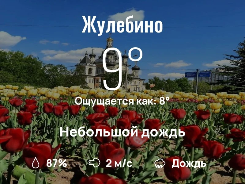 Что с погодой в Жулебино?