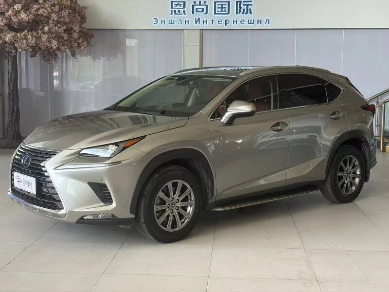 🚘 Lexus NX200