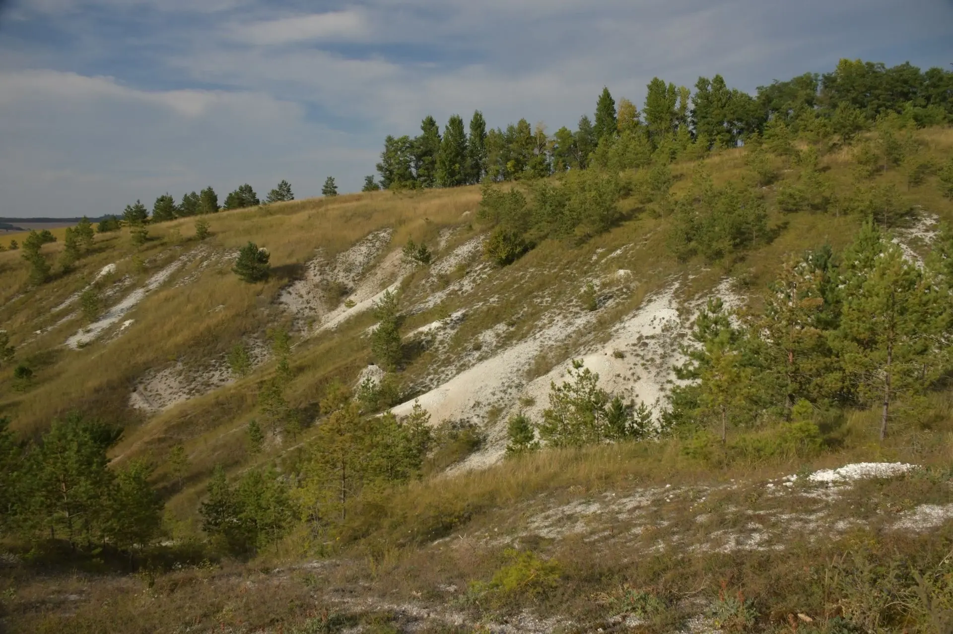 🌿 Природа Белгородчины — это то, что мы любим и чем гордимся
