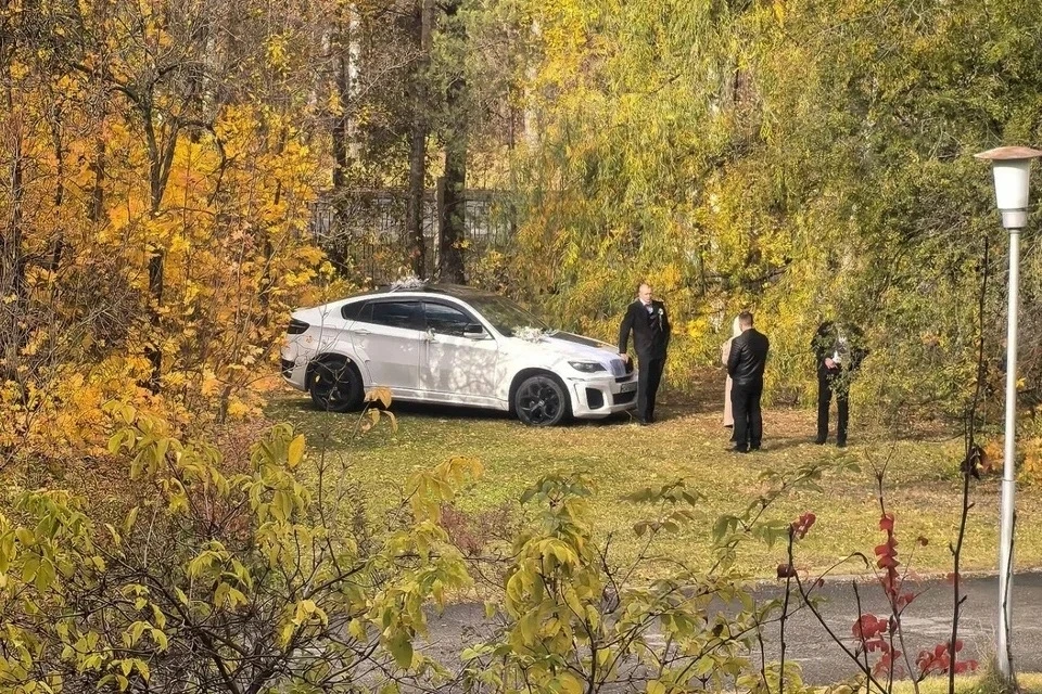 💍🚗 В Барнауле свадебный автомобиль заехал прямо на газон дендрария