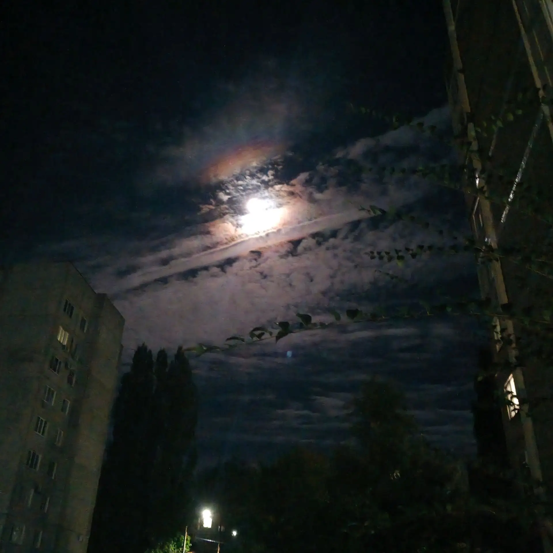 общаги
