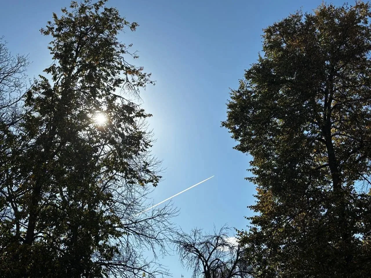🌲🌳В лесах Пензенской области сохраняется высокая пожарная опасность