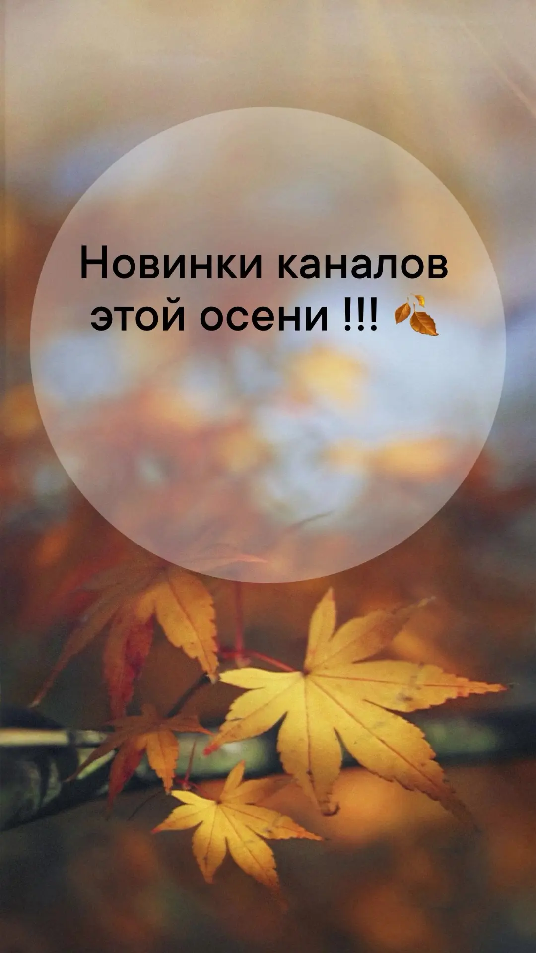 💜НОВИНКИ КАНАЛОВ ЭТОЙ ОСЕНИ :