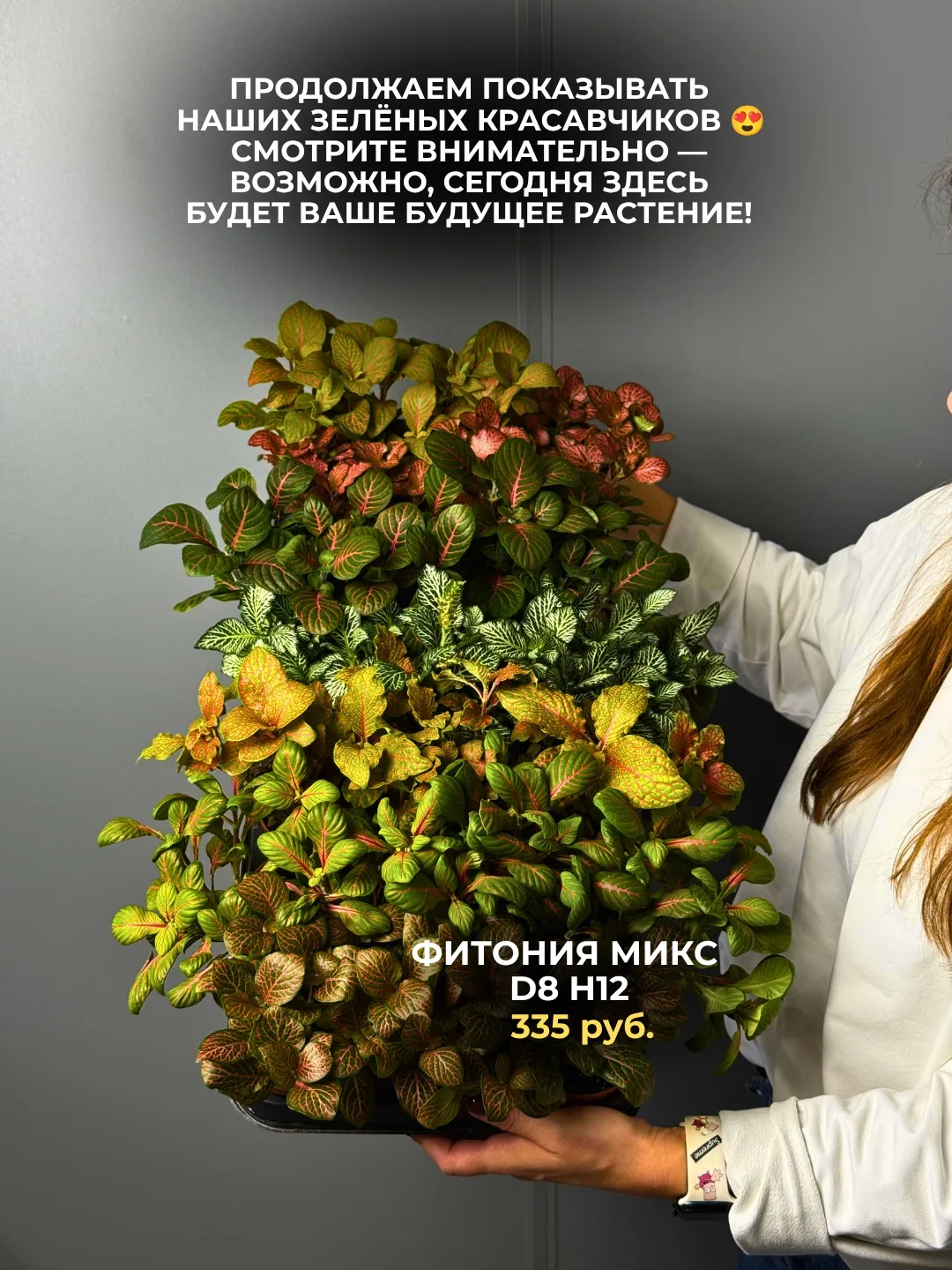 Осторожно: после этих фото захочется ещё одно растение!