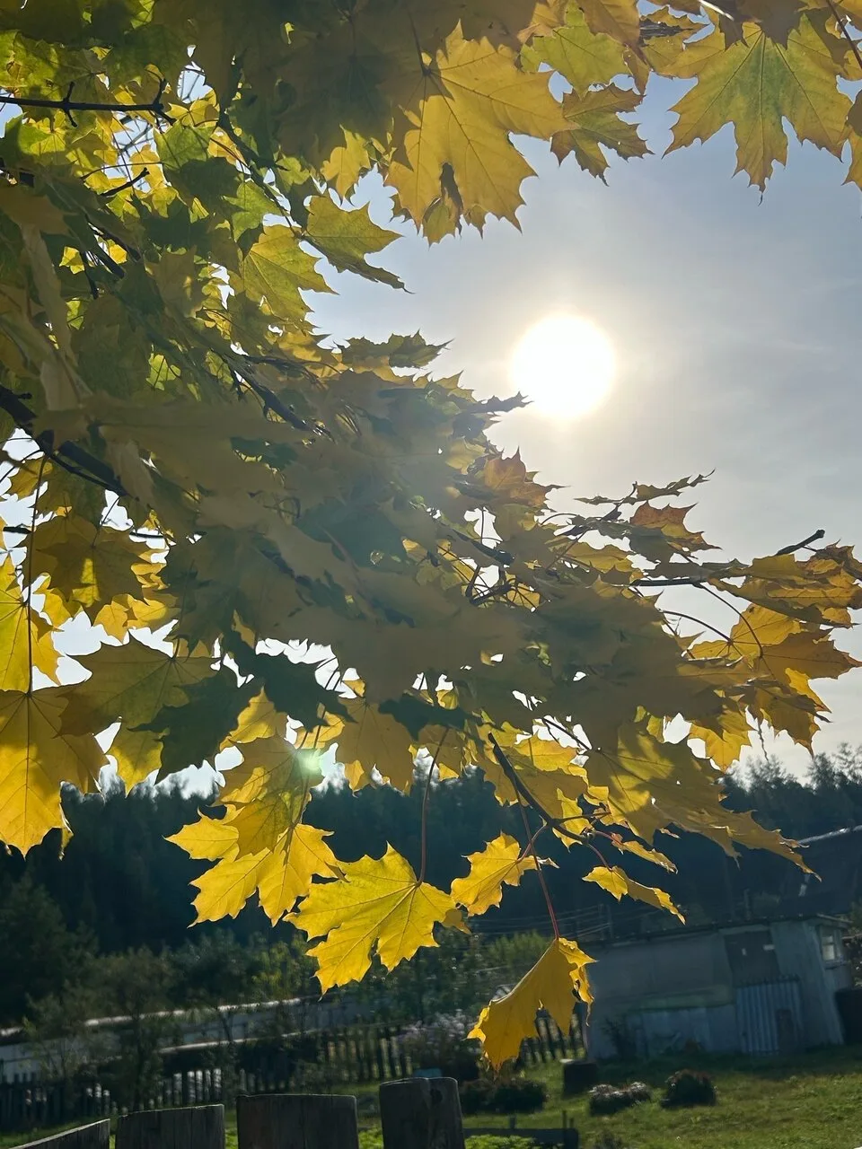 Доброе утро, Североуральск! ❤🍂