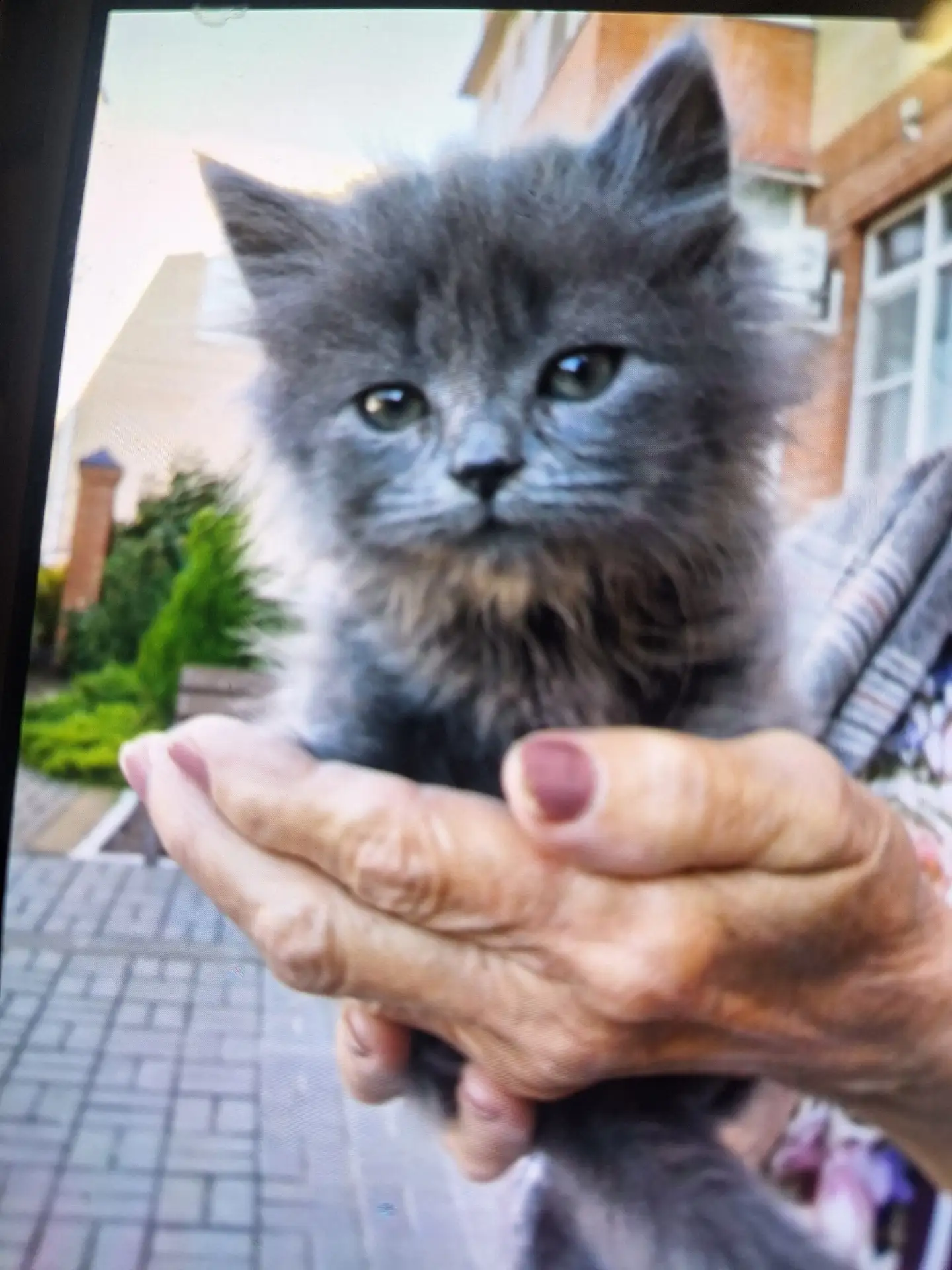 Подкинули ребёнка..может кто возьмёт? У меня уже две есть..взять не могу...