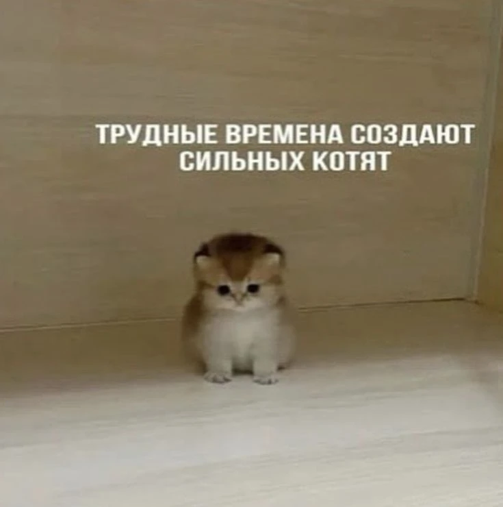 Утречка! Девиз дня!