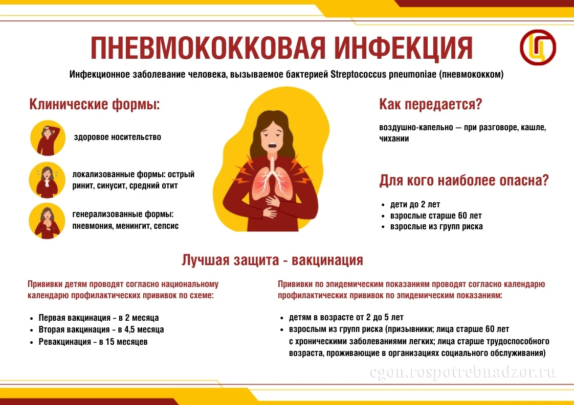 Пневмококковая инфекция – группа широко распространенных инфекционных заболеваний, вызв...