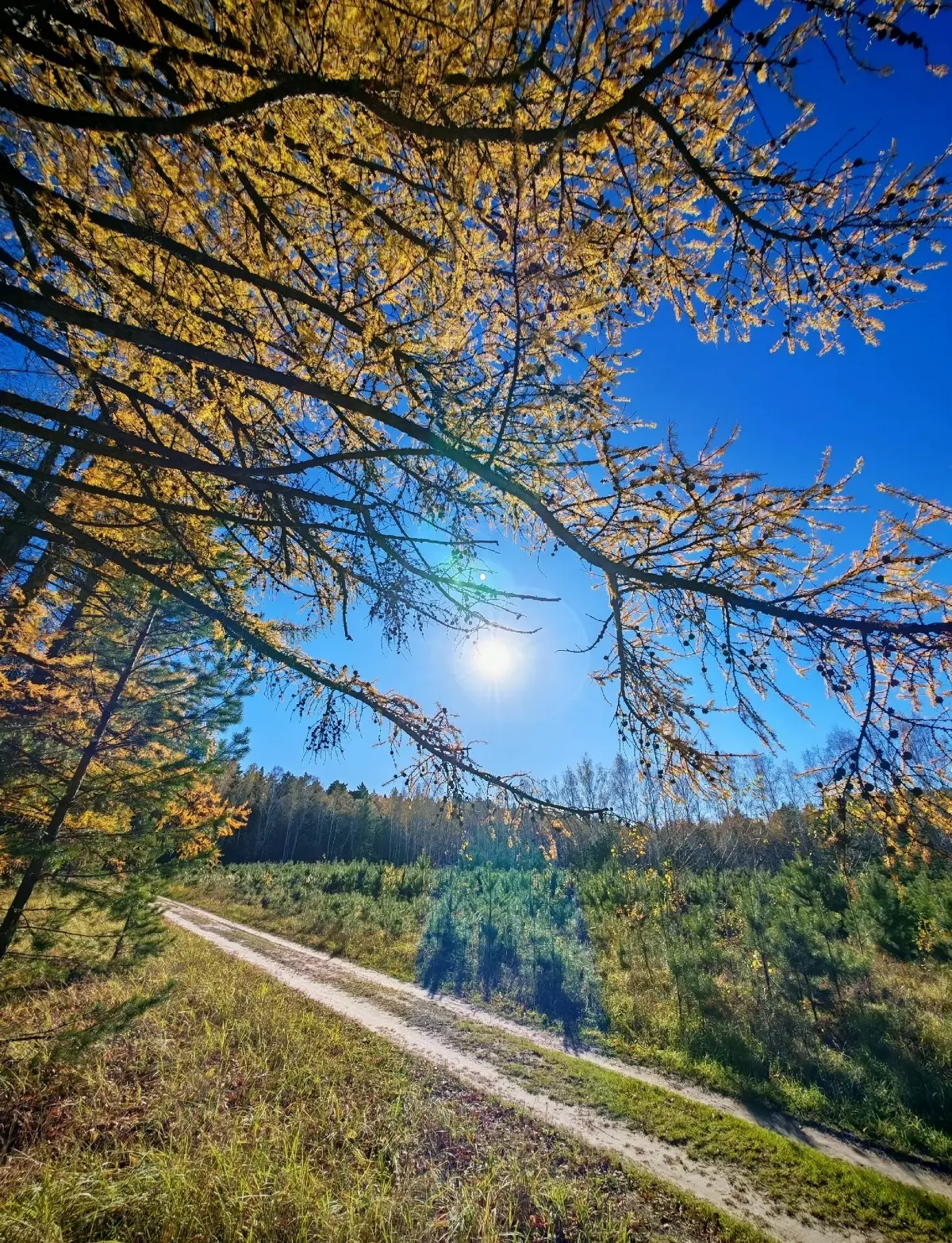 Красивой осени много не бывает