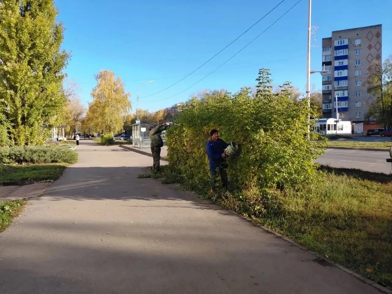 В Салавате стригут кустарники — работают без выходных 🌿