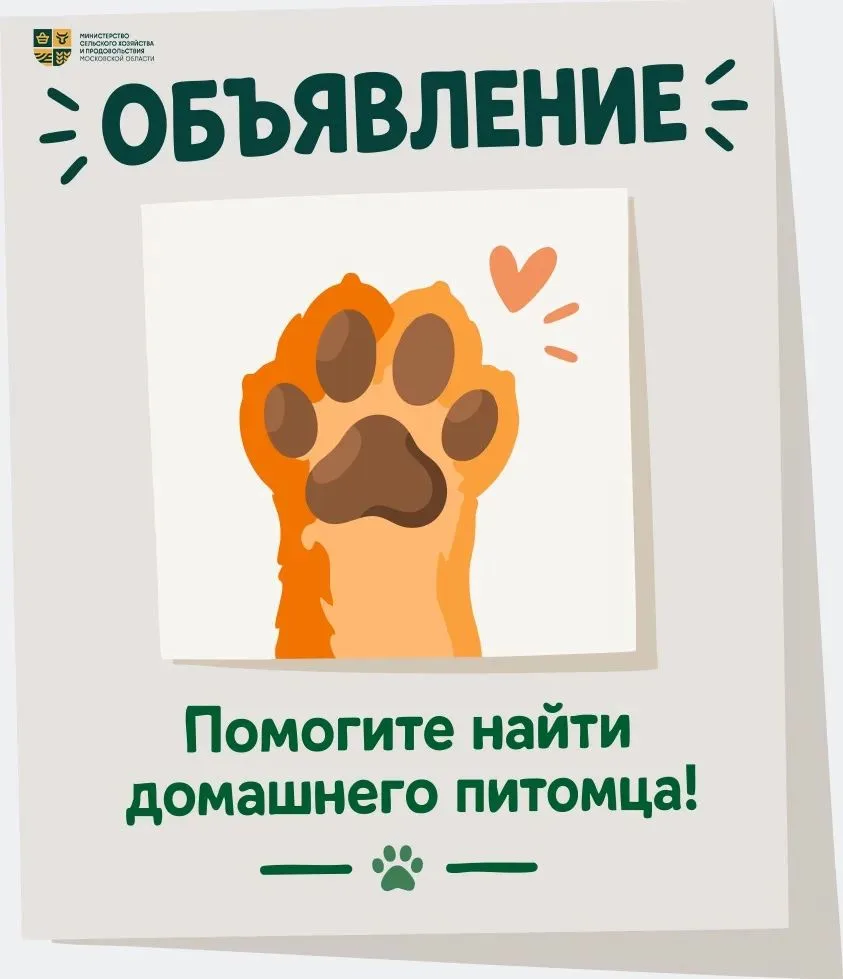 🐾 Если питомец потерялся, а не нашёлся? В Подмосковье работает сервис поиска животных