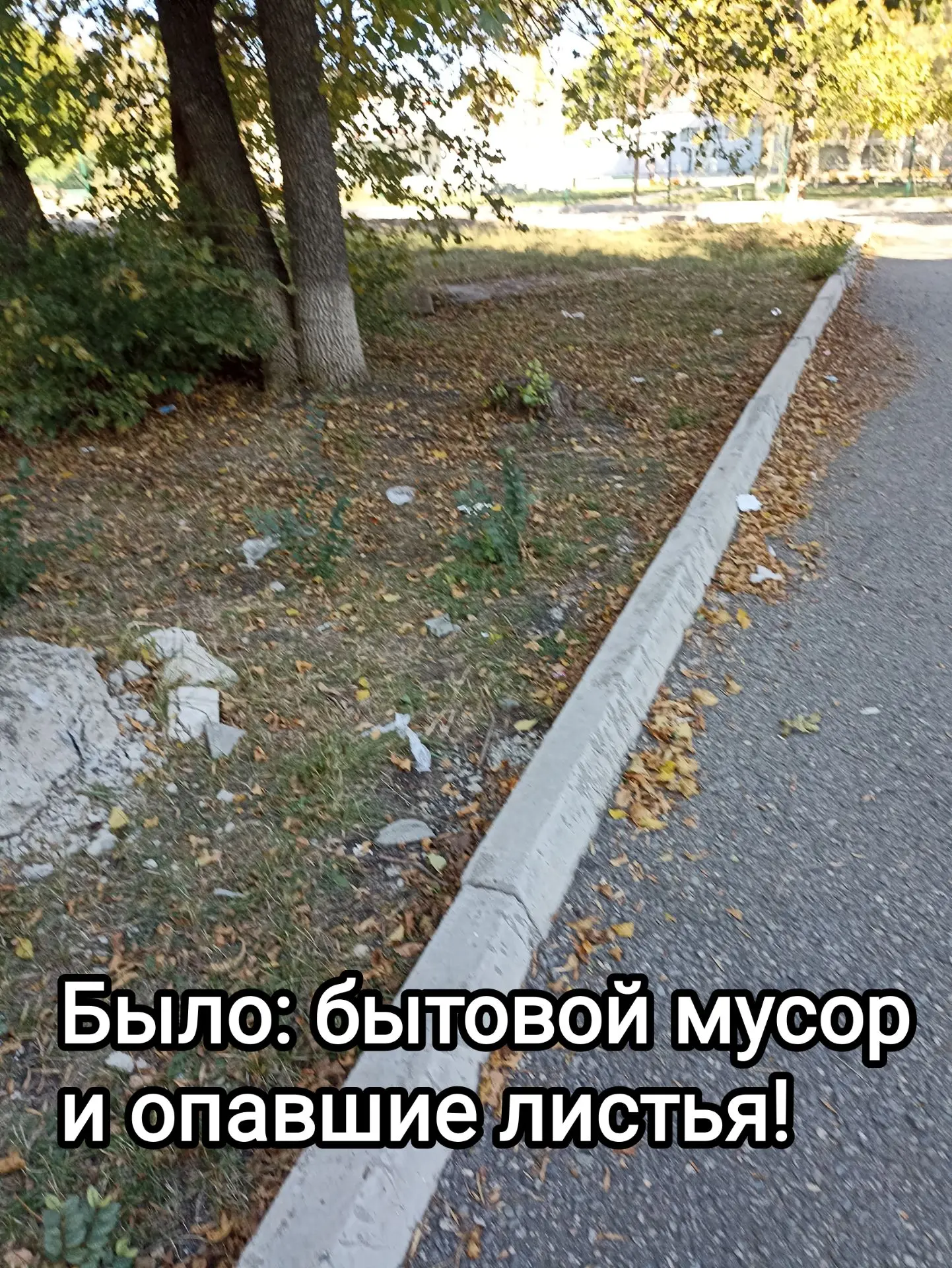 🌿🍂🌿Экология- забота каждого!