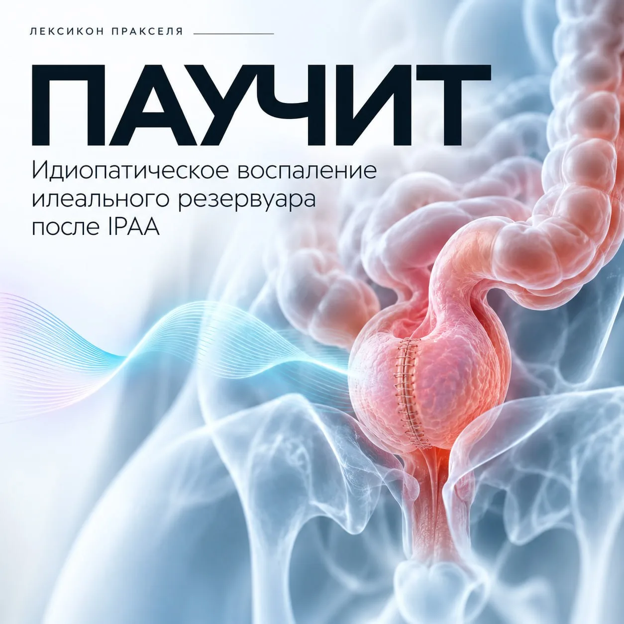 📖 Рубрика «Лексикон Пракселя»