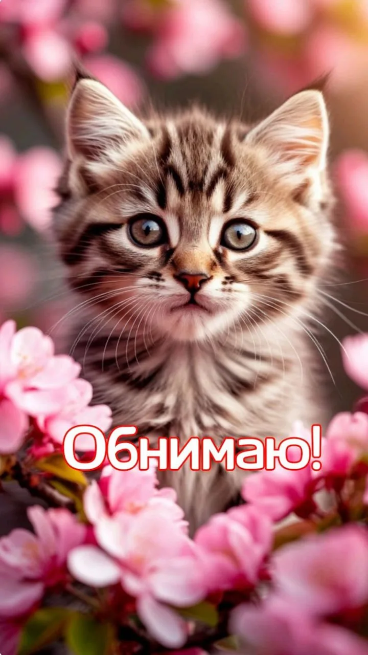 🥰Ставьте реакции и делитесь открыткой с близкими ❤️