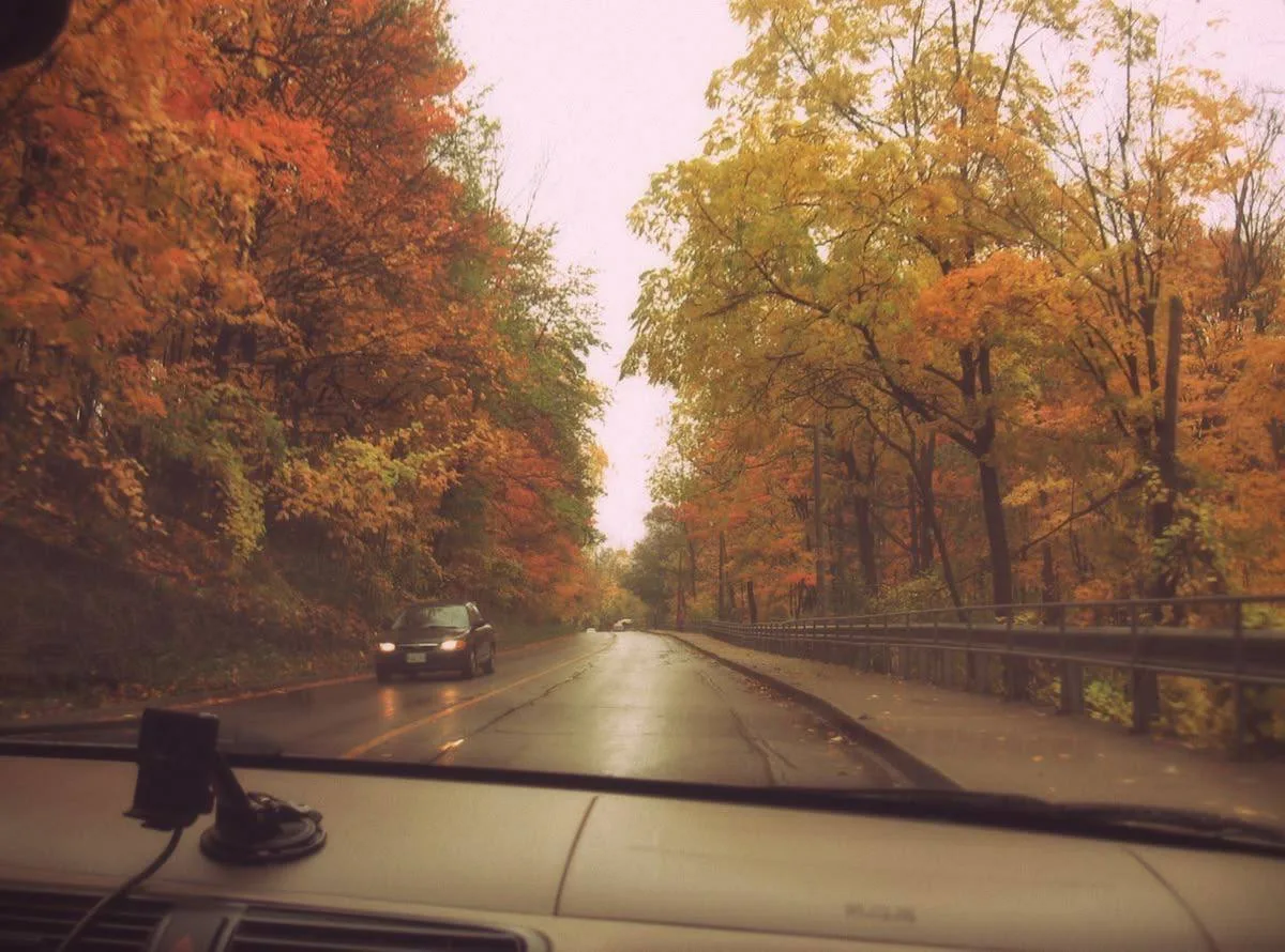 🍁 Доброе, осеннее утро, москвичи!