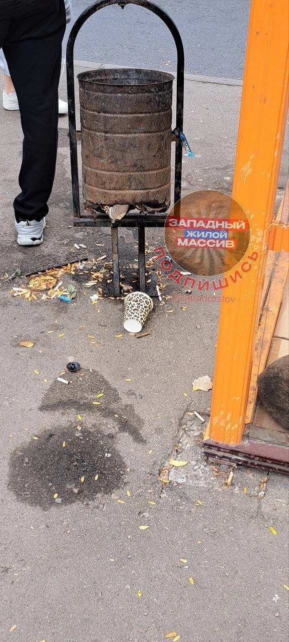 🗑 Неужели на новую урну не найдётся 2 тысячи рублей?