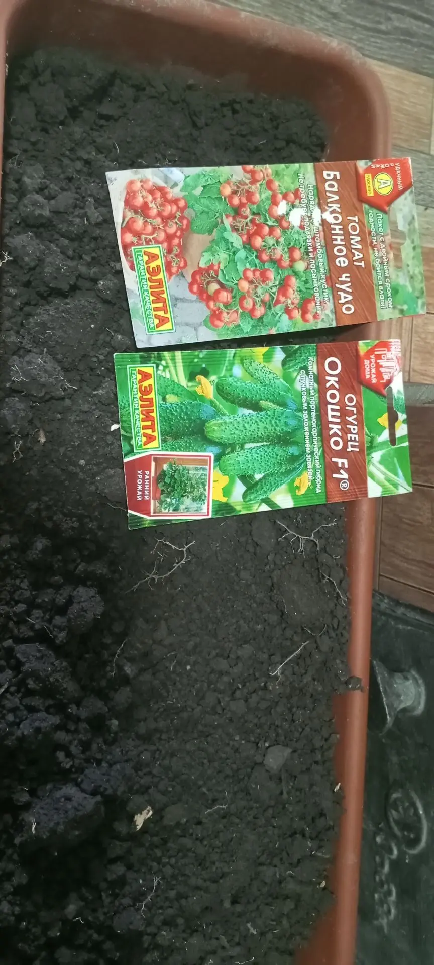 Сегодня занимаюсь посадкой! В горшки 🪴 посажу кактусы и декабриста. А в ящики - помидо...