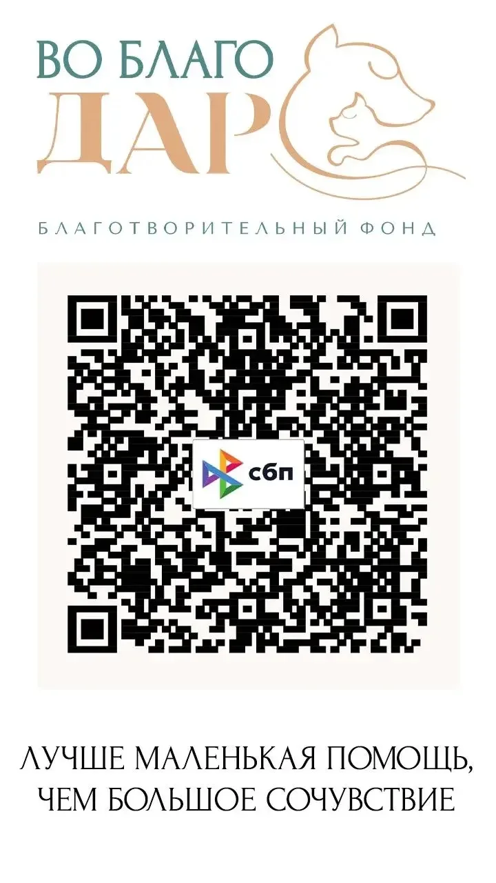 ВНИМАНИЕ ‼️