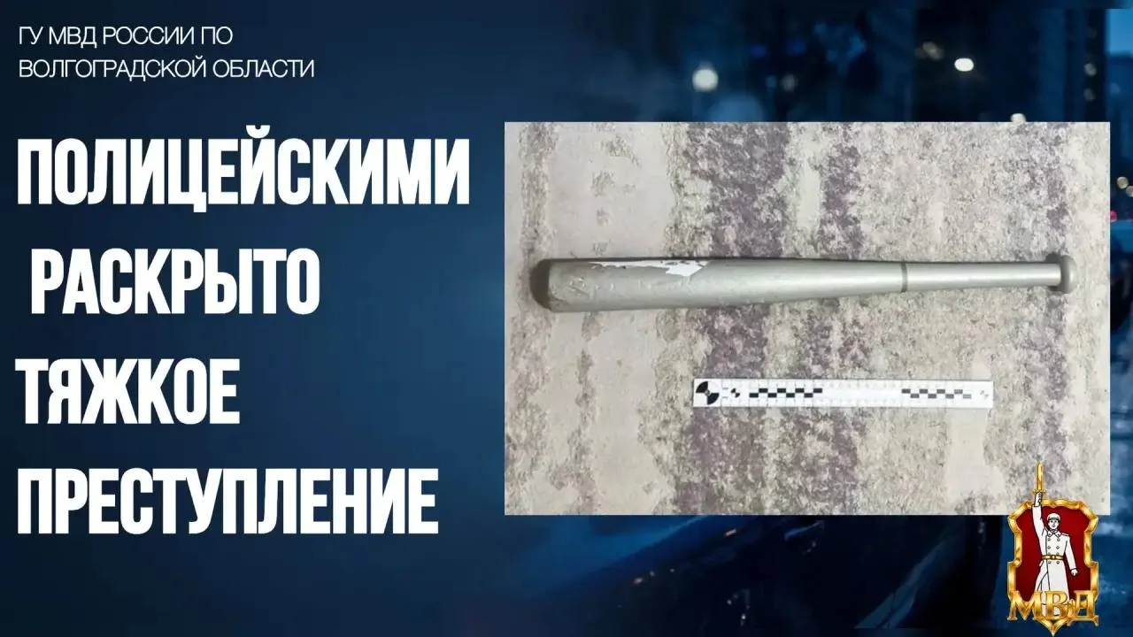 ❗️В Красноармейском районе мужчину подозревают в избиении знакомого битой