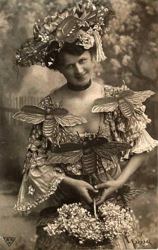 Пчелиная мода. 1900 г.