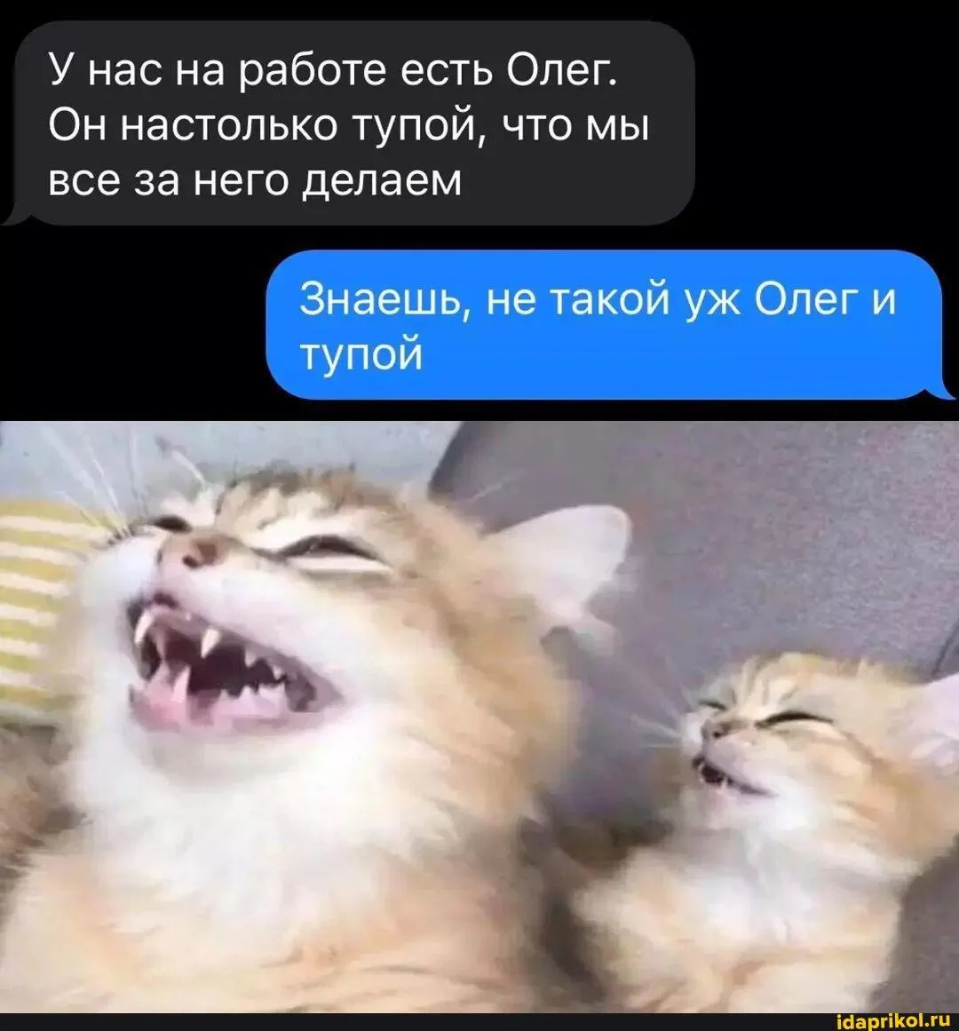 Мем дня