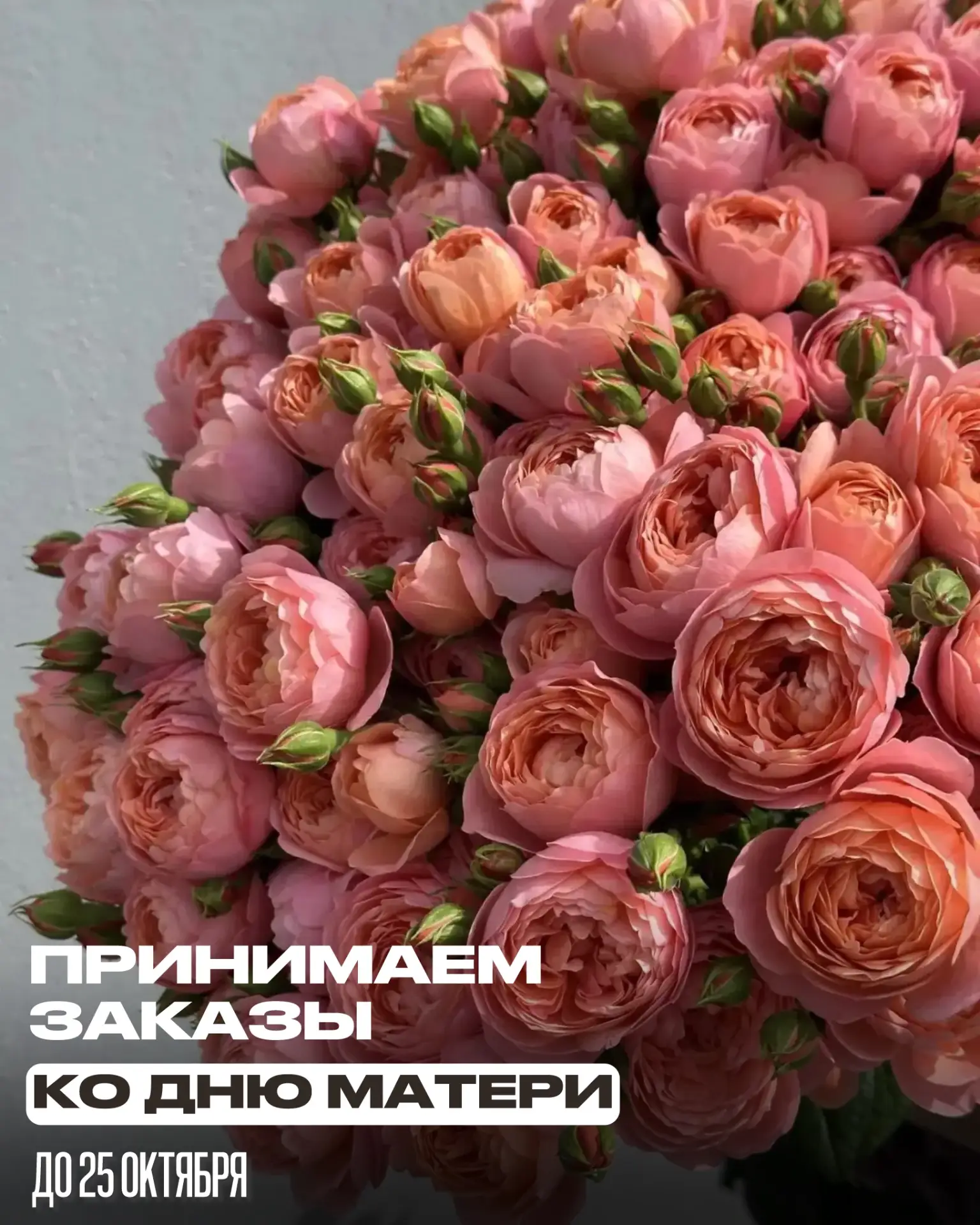 🌷 Дорогие друзья!