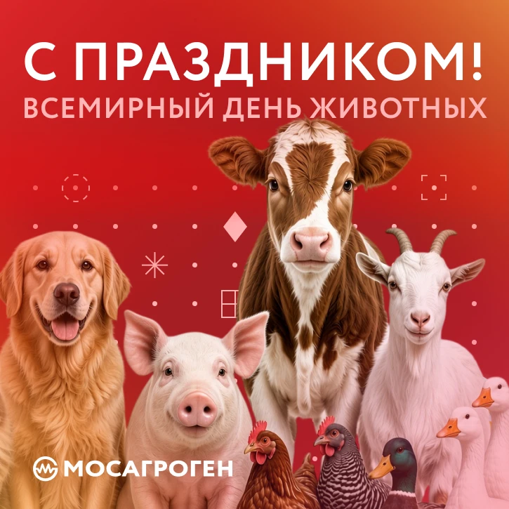 🧬 Защита животных = системный подход + правильные инструменты