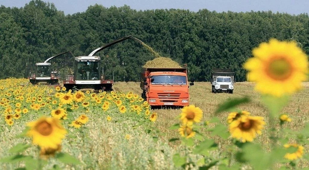 В городском округе Докучаевск полным ходом идет уборочная кампания. Аграрии муниципалит...