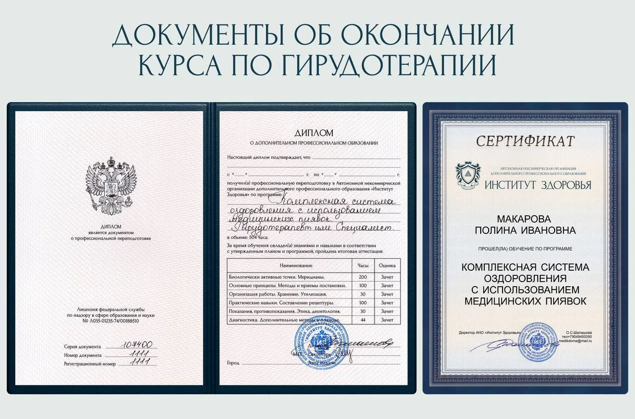 ⁉️ Какие дипломы вы получите после обучения