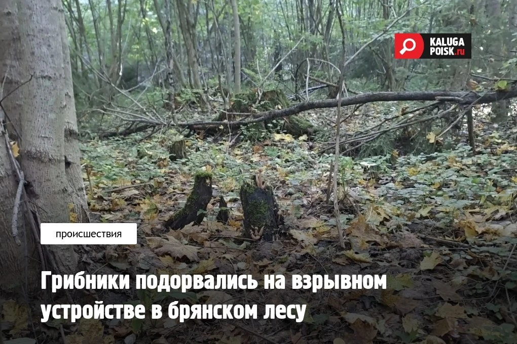 В Брянской области два грибника пострадали при подрыве на неизвестном взрывном устройст...