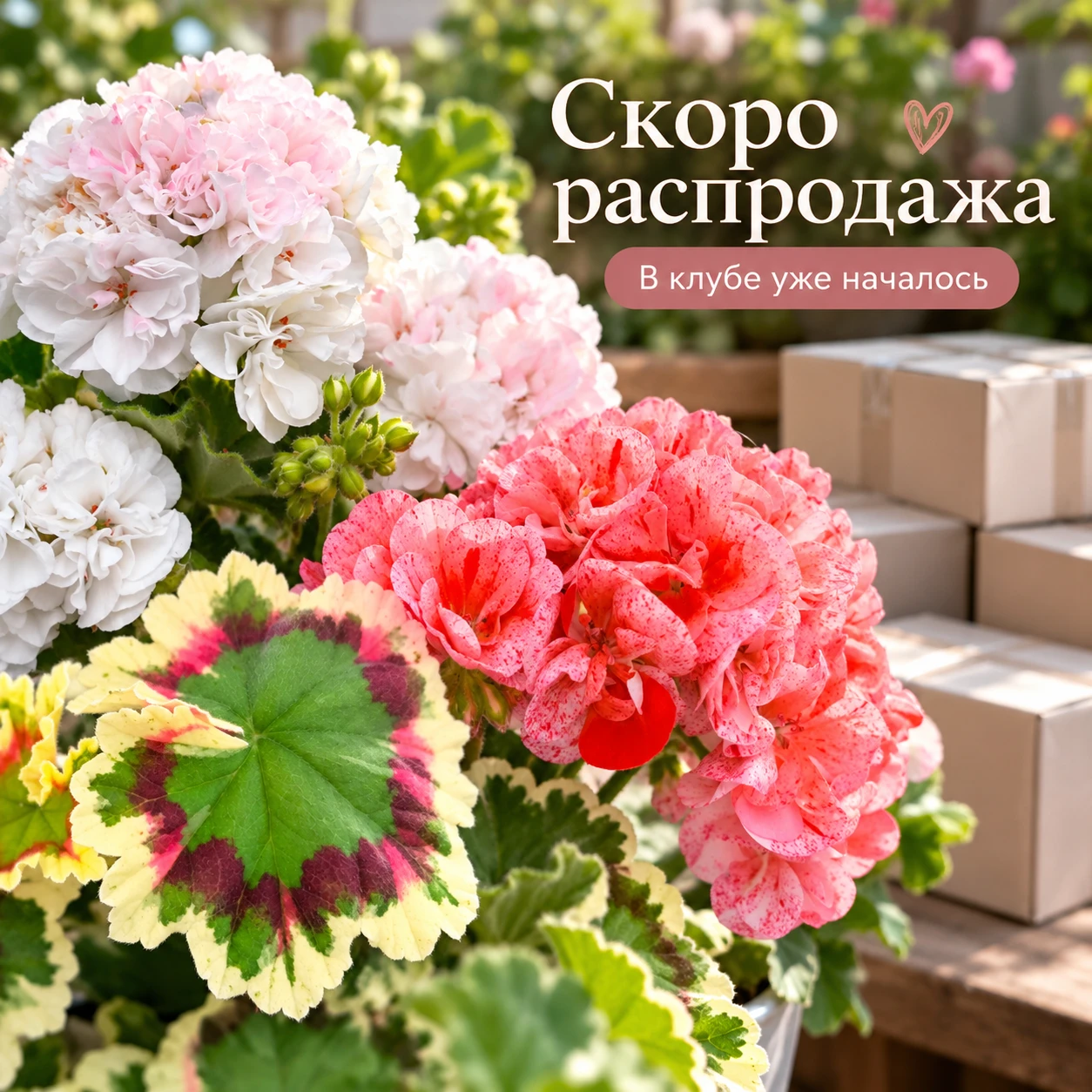 🌸 Ну что, кажется, время пришло…